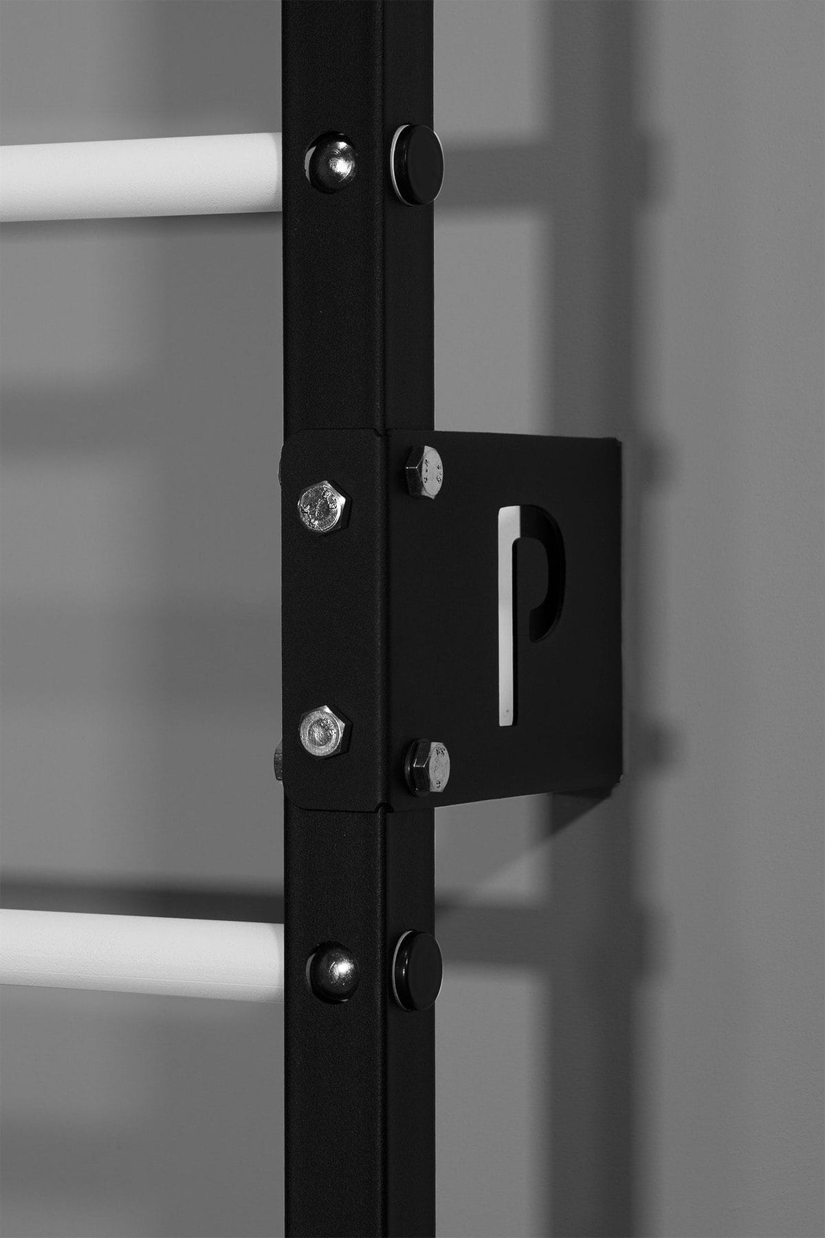 Détail de l'assemblage sur l'espalier noir et blanc